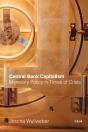 Central Bank Capitalism - Preview