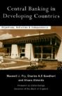 Central Banking In Developing Countries - Preview