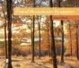 Central Massachusetts Perspectives - Preview