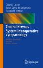 Central Nervous System Intraoperative Cytopathology - Preview