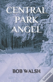 Capa do artigo Central Park Angel
