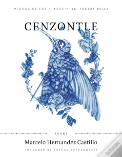 Capa do artigo Cenzontle