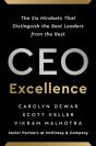 Ceo Excellence - Preview