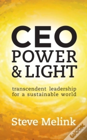 Capa do artigo Ceo Power & Light