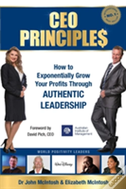 Capa do artigo Ceo Principles