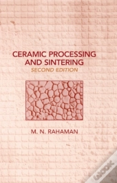 Ceramic Processing And Sintering