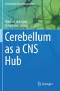 Cerebellum As A Cns Hub - Preview