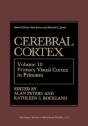 Cerebral Cortex - Preview