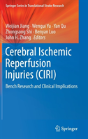 Cerebral Ischemic Reperfusion Injuries (Ciri) - Preview