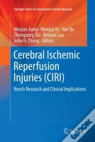 Cerebral Ischemic Reperfusion Injuries (Ciri)