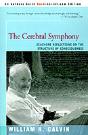 Cerebral Symphony - Preview