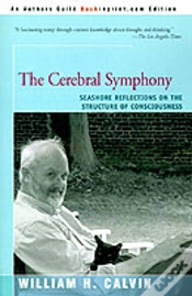 Capa do artigo Cerebral Symphony