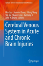 Cerebral Venous System In Acute And Chronic Brain Injuries - Preview