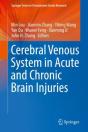 Cerebral Venous System In Acute And Chronic Brain Injuries - Preview