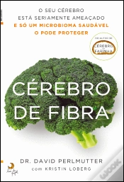 Capa do artigo Cérebro de Fibra