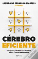 Cérebro Eficiente