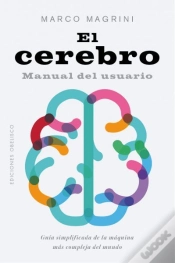 Capa do artigo Cerebro, El
