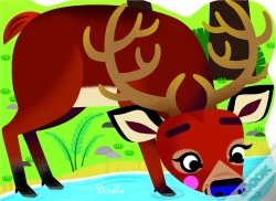 Capa do artigo Cerf