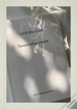 Capa do artigo Cerith Wyn Evans : Lueurs Empruntees