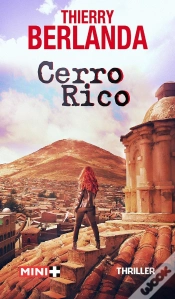 Capa do artigo Cerro Rico