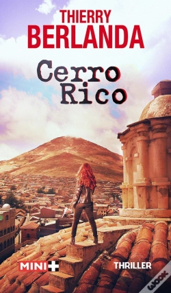 Capa do artigo Cerro Rico