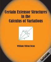 Certain Extensor Structures In The Calculus Of Variations