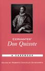 Cervantes' Don Quixote - Preview