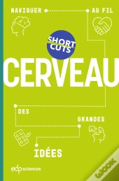 Cerveau