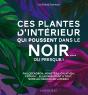 Ces Plantes D'Intérieur Qui Poussent Dans Le Noir... Ou Presque ! - Preview