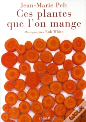 Capa do artigo Ces Plantes Que L