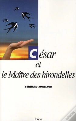 Capa do artigo César Et Le Maitre Des Hirondelles