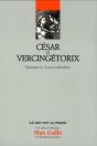 Cesar Et Vercingetorix - Naissance D'Une Civilisation. Volume 12 - Preview