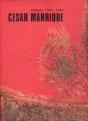 Cesar Manrique : Pintura 1958-1992 (Cat.Exposicion) (Esp-Ing) - Preview