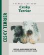 Cesky Terrier - Preview