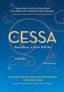 Cessa, Sometimes A Little Will Do