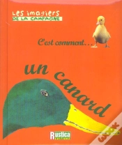 Capa do artigo C