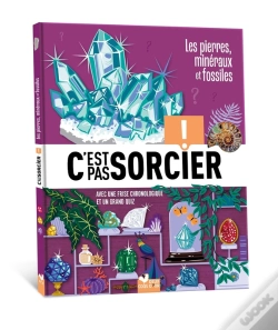 Capa do artigo C'Est Pas Sorcier : Les Pierres, Minéraux Et Fossiles