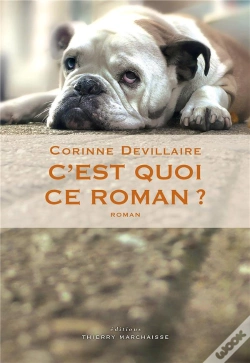 Capa do artigo C'Est Quoi Ce Roman ?