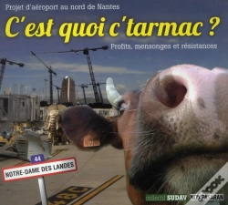 Capa do artigo C'Est Quoi C'Tarmac ? Le Projet D'Aeroport Au Nord De Nantes