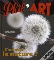 Capa do artigo C