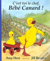 Capa do artigo C