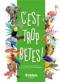 C'Est Trop Bete! - Preview