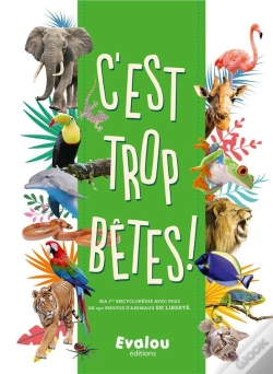 Capa do artigo C'Est Trop Bete!