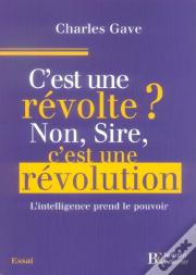 C'Est Une Revolte ? Non Sire, C'Est Une Revolution ; L'Intelligence Prend Le Pouvoir