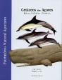 Cetáceos dos Açores - Preview
