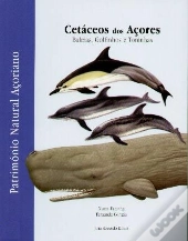 Cetáceos dos Açores