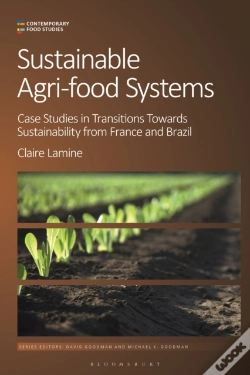 Capa do artigo Cfs Sustainable Agrifood Systems