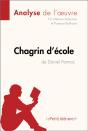 Chagrin D'École De Daniel Pennac (Analyse De L'Oeuvre) - Preview