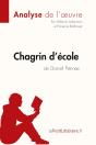 Chagrin D'École De Daniel Pennac - Preview