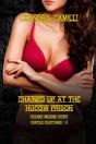 Chained Up At The Hucow Prison - Preview